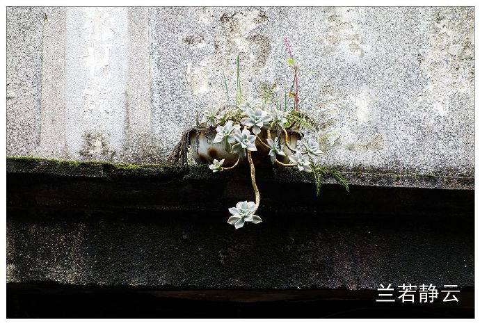 福建安溪大坪景点,安溪大坪乡地图