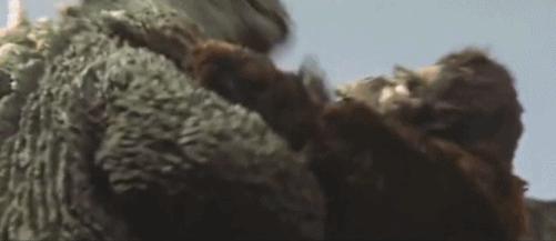 哥斯拉2四大怪兽,哥斯拉怪兽2全集