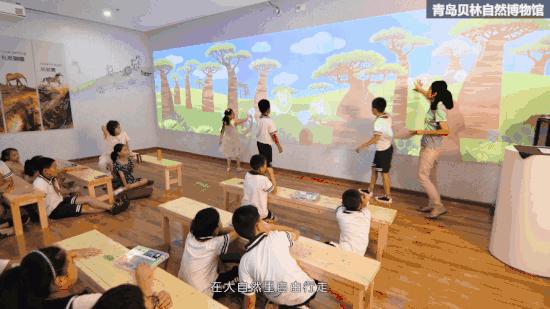 青岛贝林自然博物馆,青岛贝林博物馆门票优惠政策