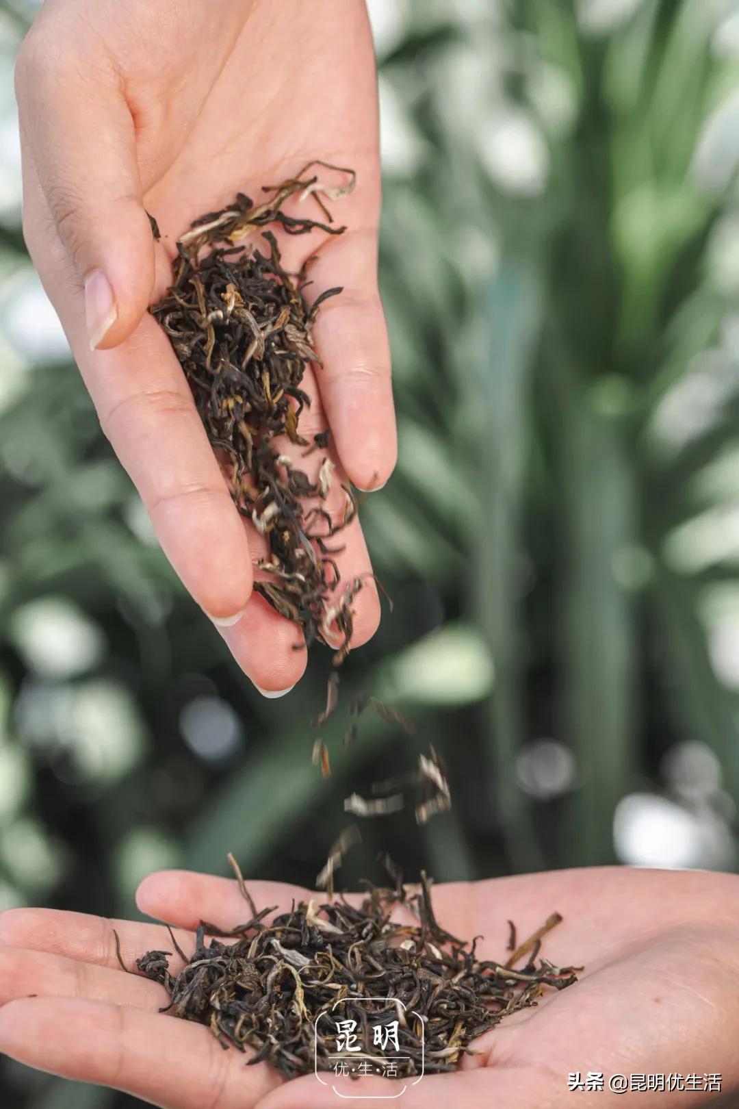 奈雪的茶测评霸气水蜜桃 (奈雪的茶粉色草莓)