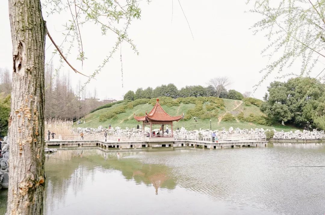 大厂真实生活现状,在大厂呆了3年的人