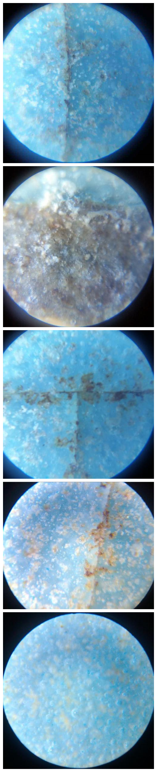 汝窑的最全鉴定方法,福建汝窑河南汝窑景德镇汝窑区别