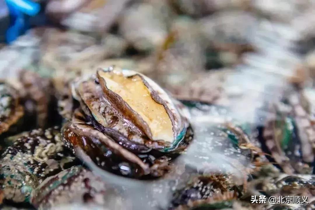 顺义区年货节日福利,顺义区年货节日福利值得购买吗