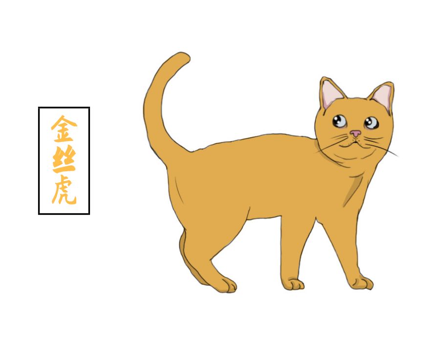 你养的猫在古代都叫什么名字,想知道你家猫在古代是什么样子吗