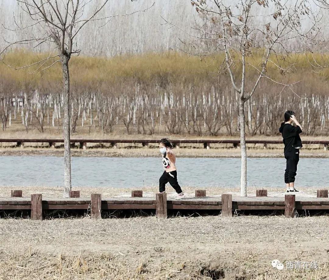 天津市今天哪个公园开放了,2020天津已开放的郊野公园