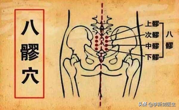 五脏六腑的经络穴位,五脏六腑对应的穴窍