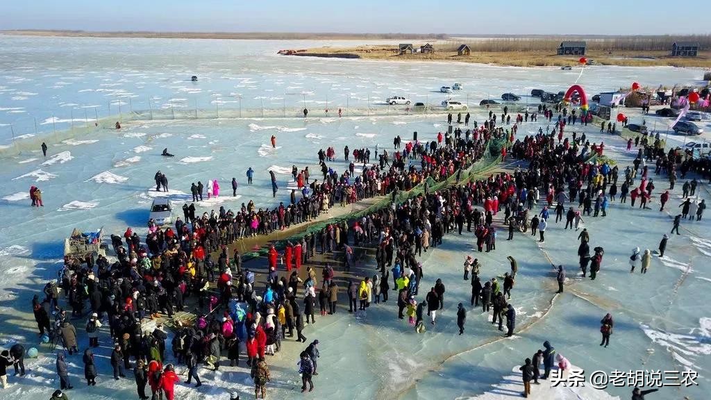 肇源江鱼排名,肇源江鱼有什么品种