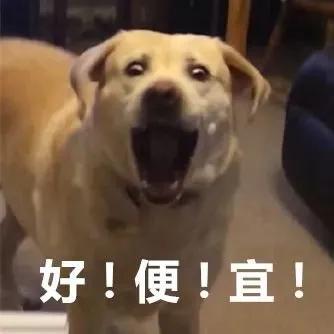 紧急提醒在校学生参与诈骗,转发周知这些诈骗套路要告知孩子