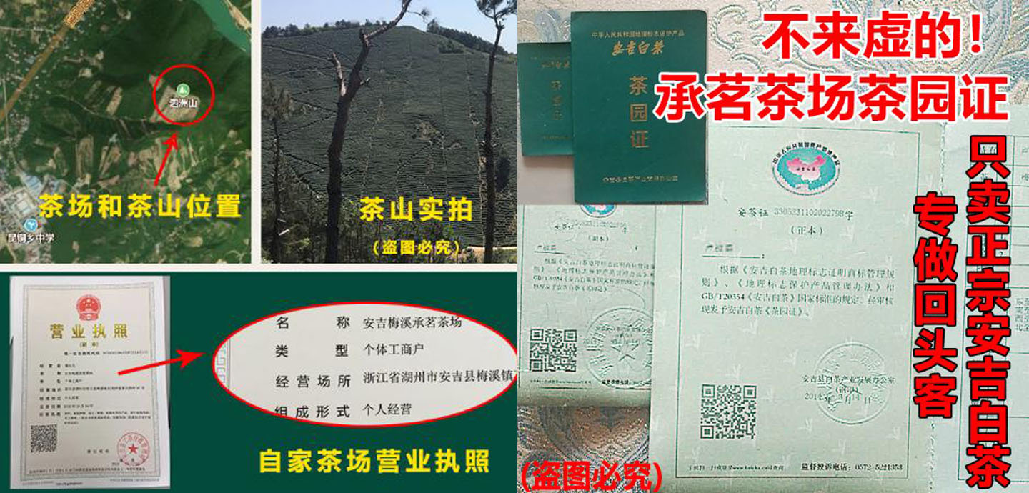 喝茶有益健康八种茶不宜喝,饮茶过多影响睡眠质量