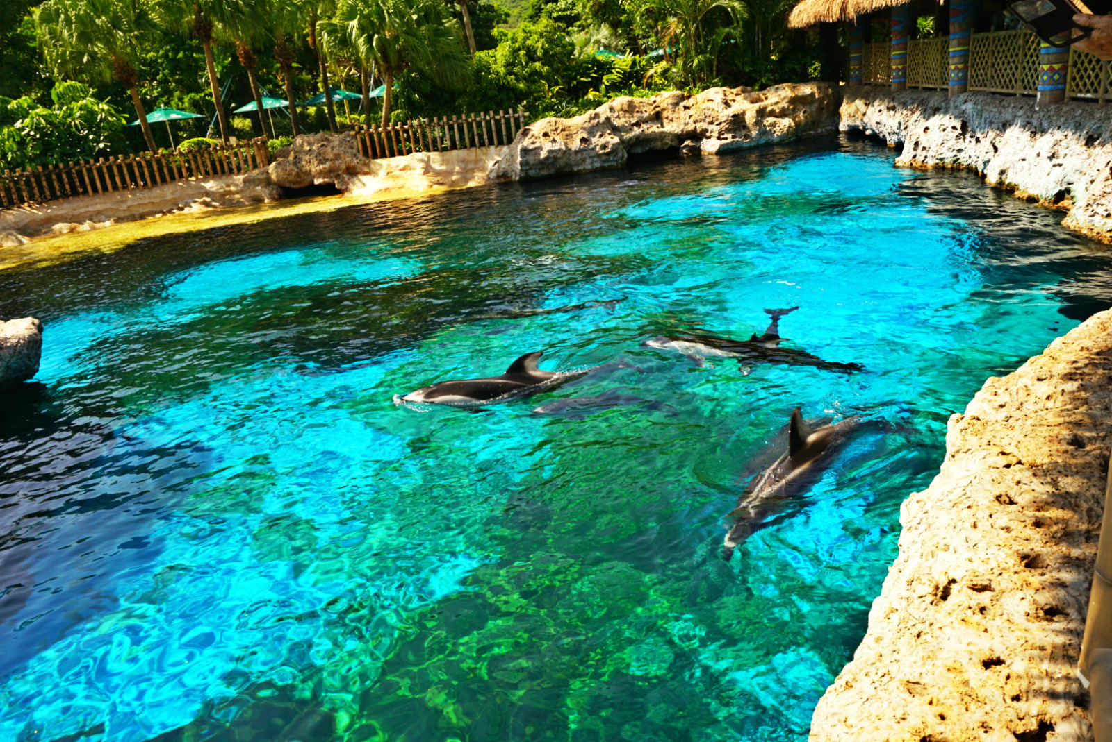 常州恐龙园和珠海长隆哪个好玩,珠海长隆海洋王国好玩吗