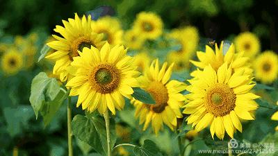 齐相聚,话成长——忻府区团结路小学家校共建助力成长