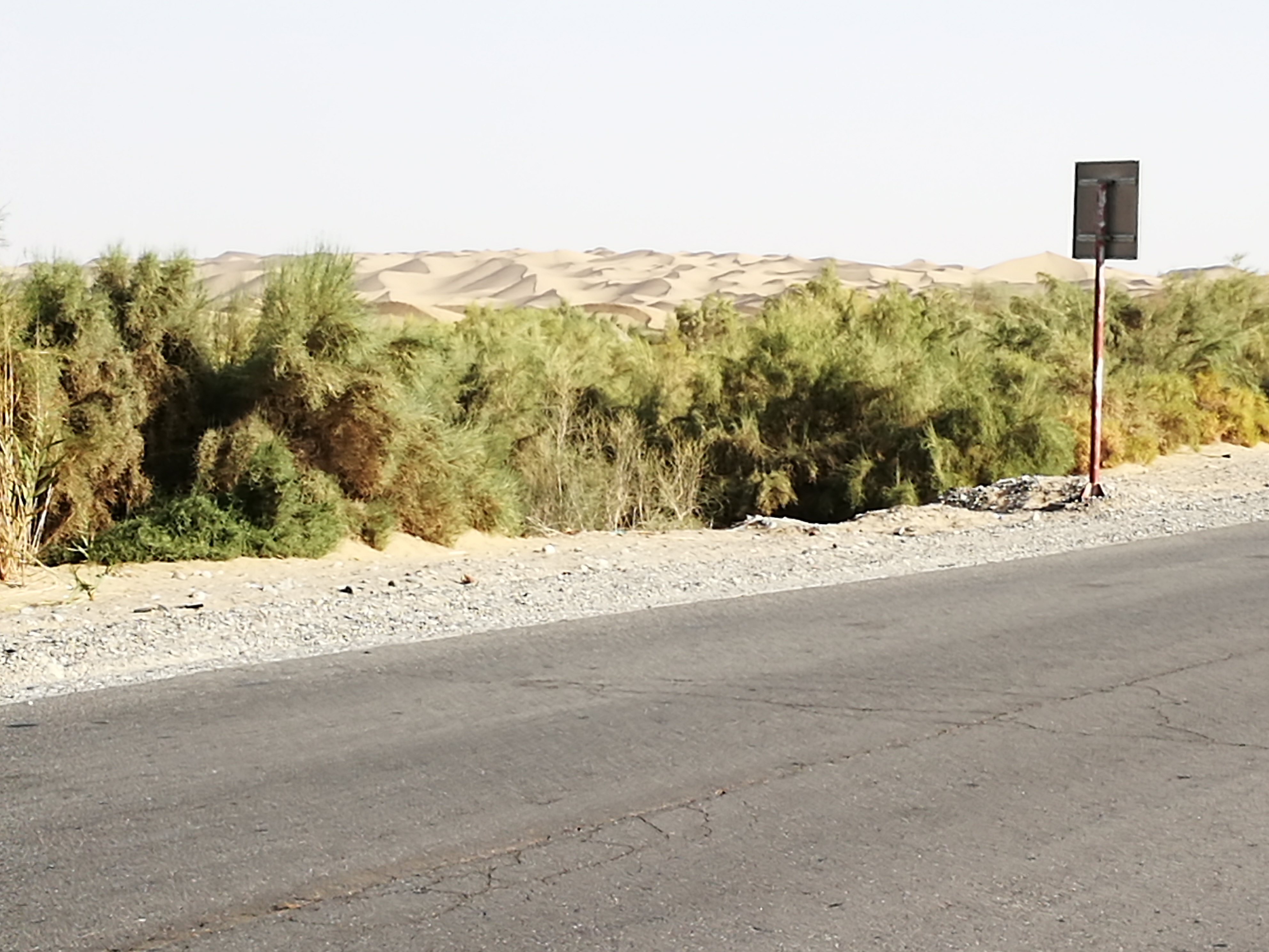 13000公里新手独驾*疆新**日记第23天——塔克拉玛干沙漠陷车自救