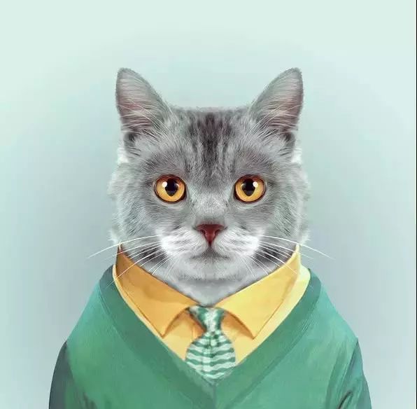 恭喜你！你被通缉啦！企鹅旅行网招人啦！