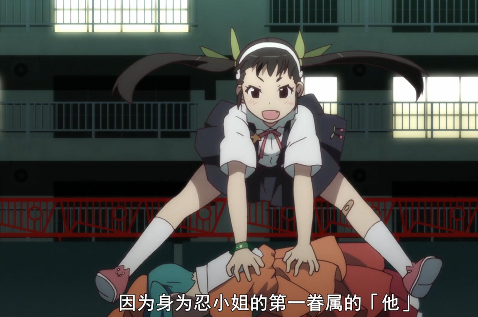 从化物语到荒川爆笑团——新房昭之与他的监督哲学