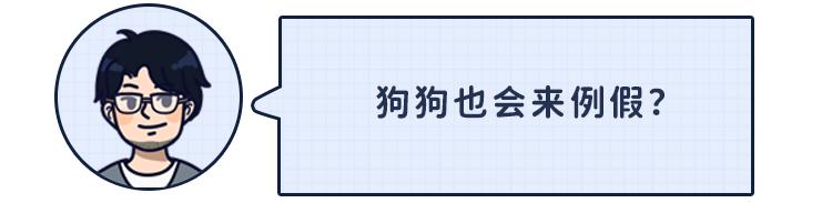 狗狗第一次来姨妈很肿,狗狗第一次来姨妈拉肚子