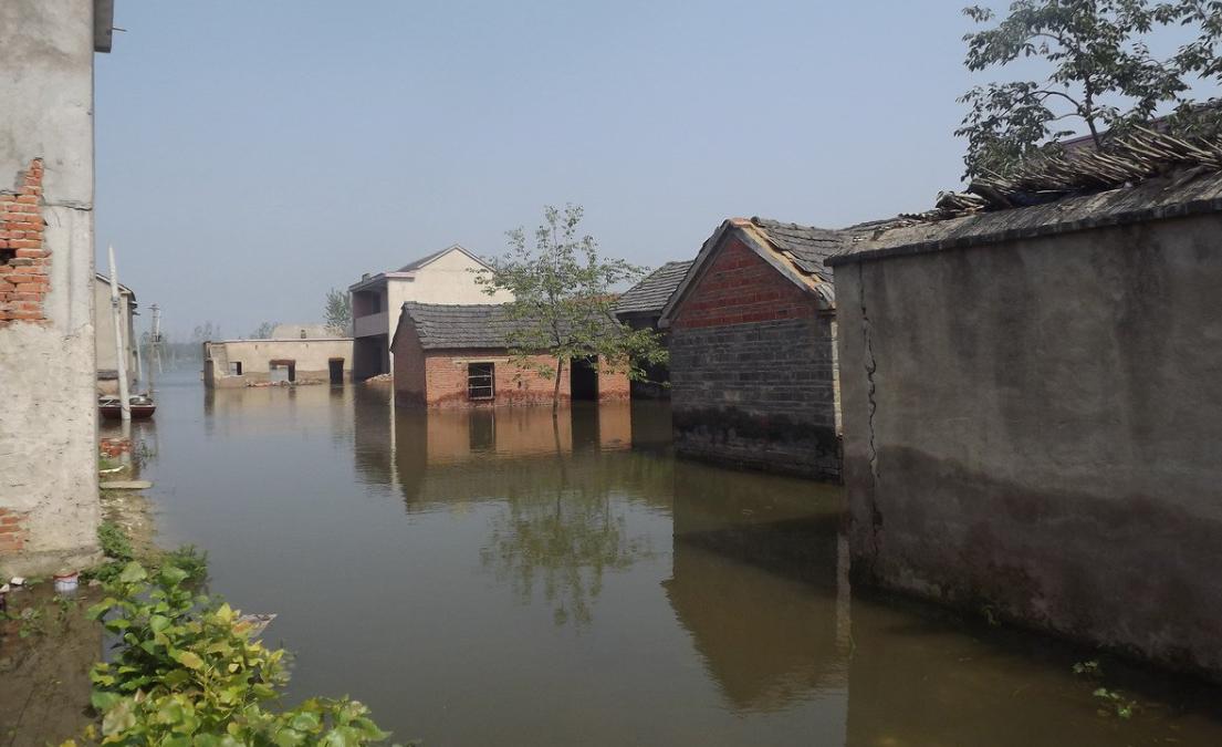 谈谈家乡生态环境,关于家乡生态的采访问题