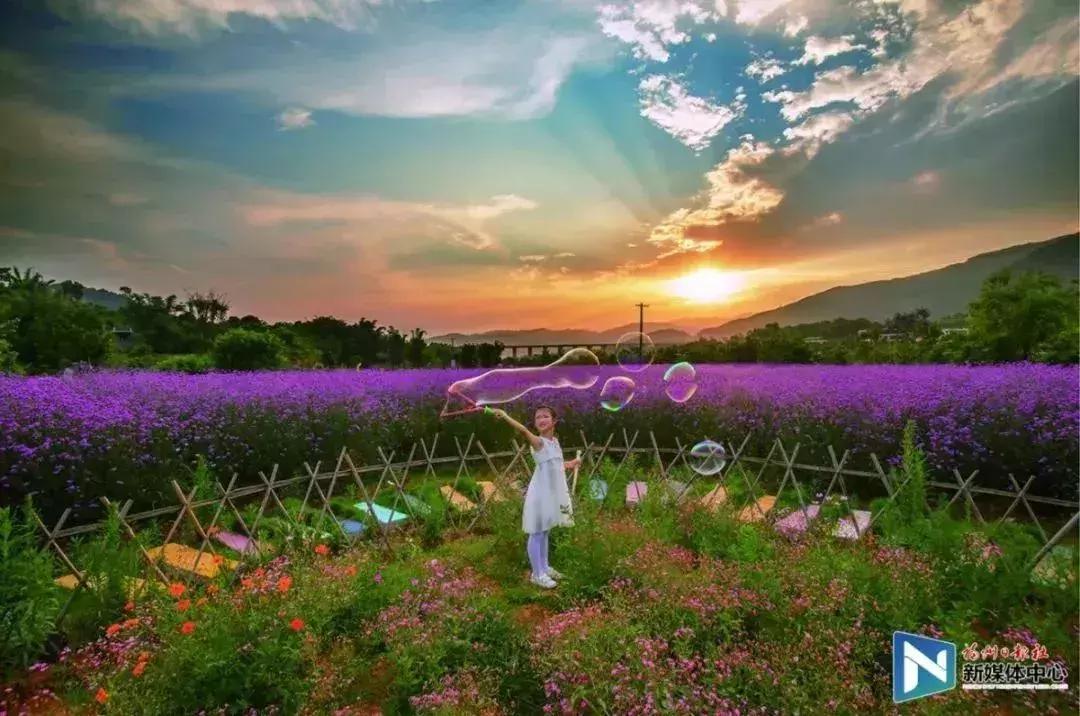 闽侯甘蔗8号地铁闽侯站在哪里,福州地铁8号线闽侯站在哪里