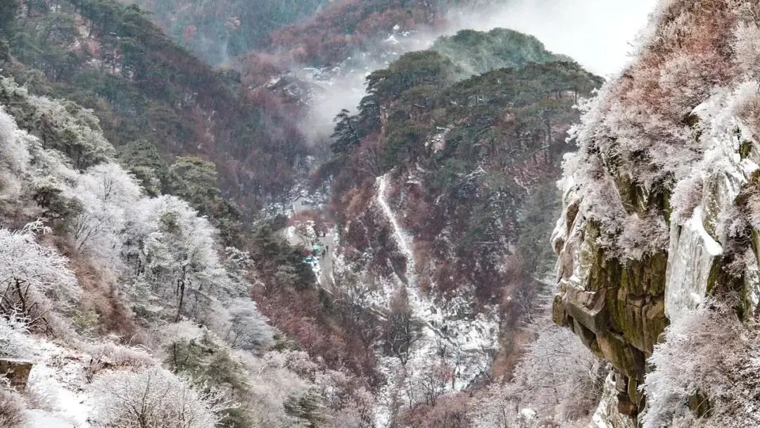 等一场雪，邂逅最美山“冬”｜冬游齐鲁