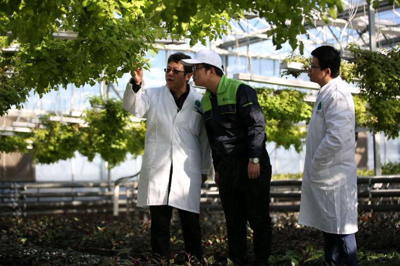 跑山猪原生态散养土黑猪,大山里的美食土鸡土鸭
