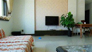 小狗老是跳起来双腿推主人,小狗跳起来咬大狗脚