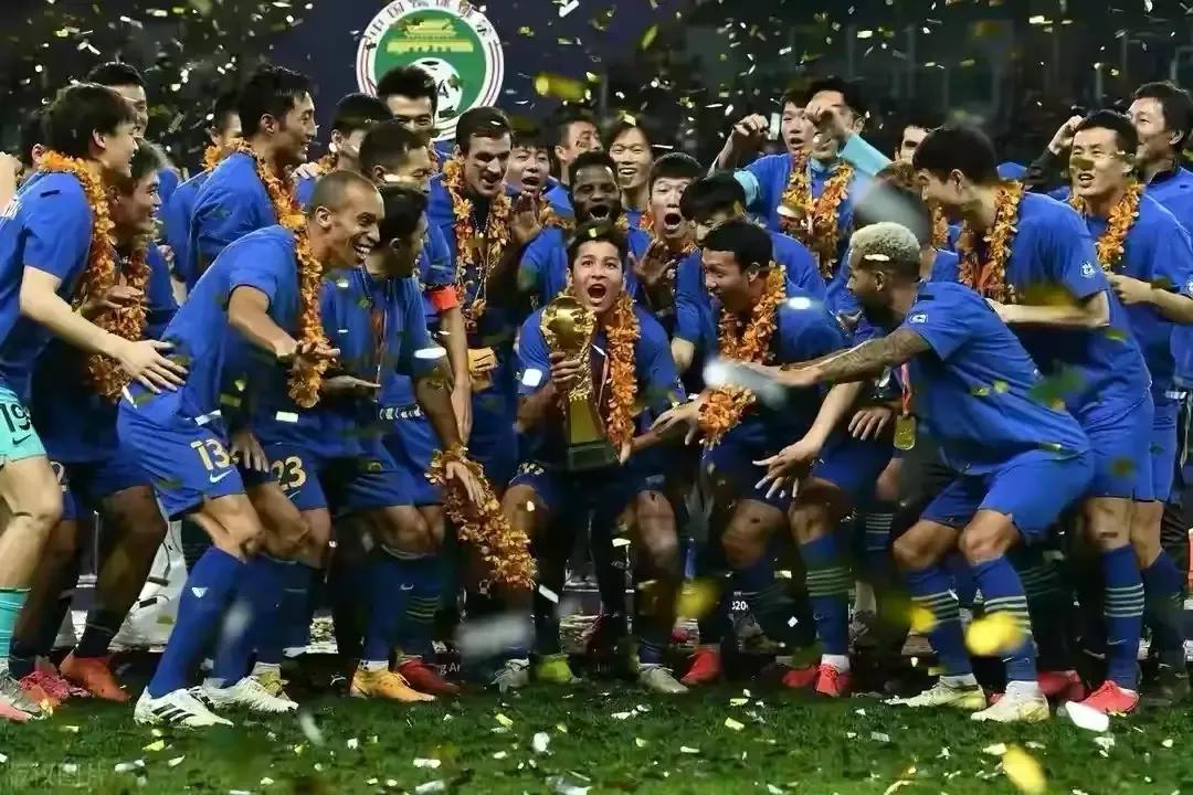 江苏苏宁解散后哪个队替补进中超,江苏苏宁足球为什么夺冠后解散