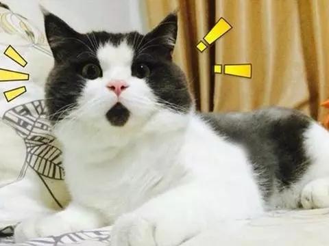 省钱返利有什么套路吗,某宝隐藏优惠券骗局