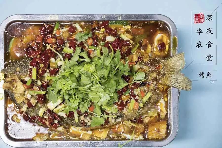 报考华南农业大学,华农报录比