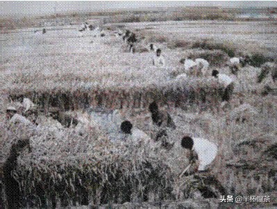 施贵宝医药,中美施贵宝制药公司怎么样