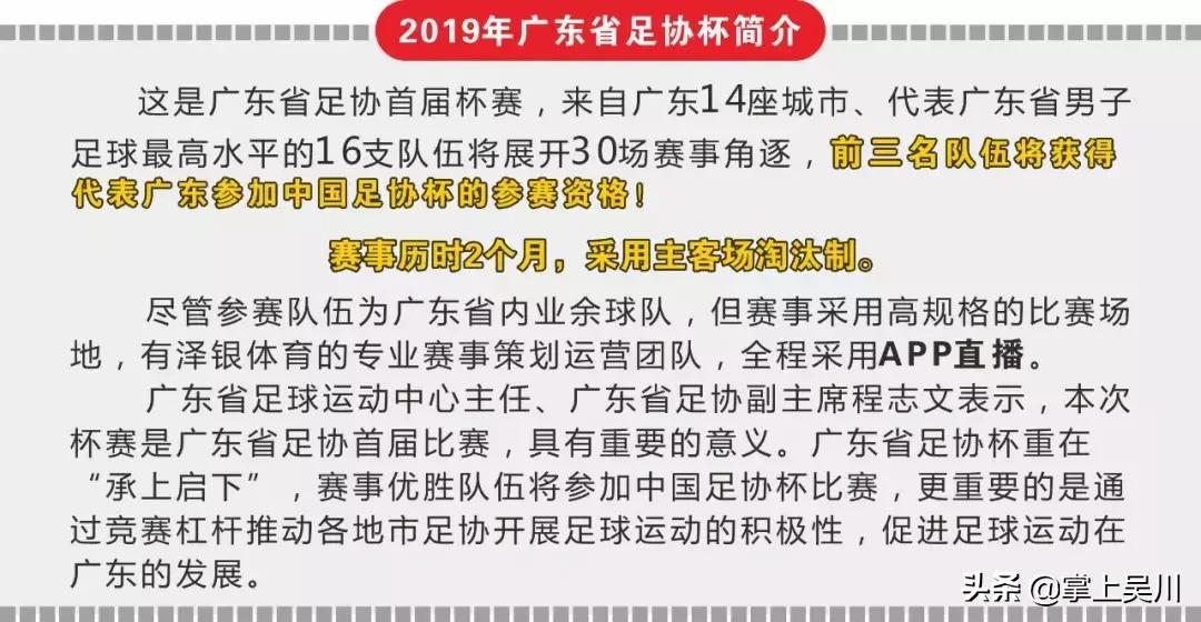 湛江足协杯决赛,广东省足协杯赛