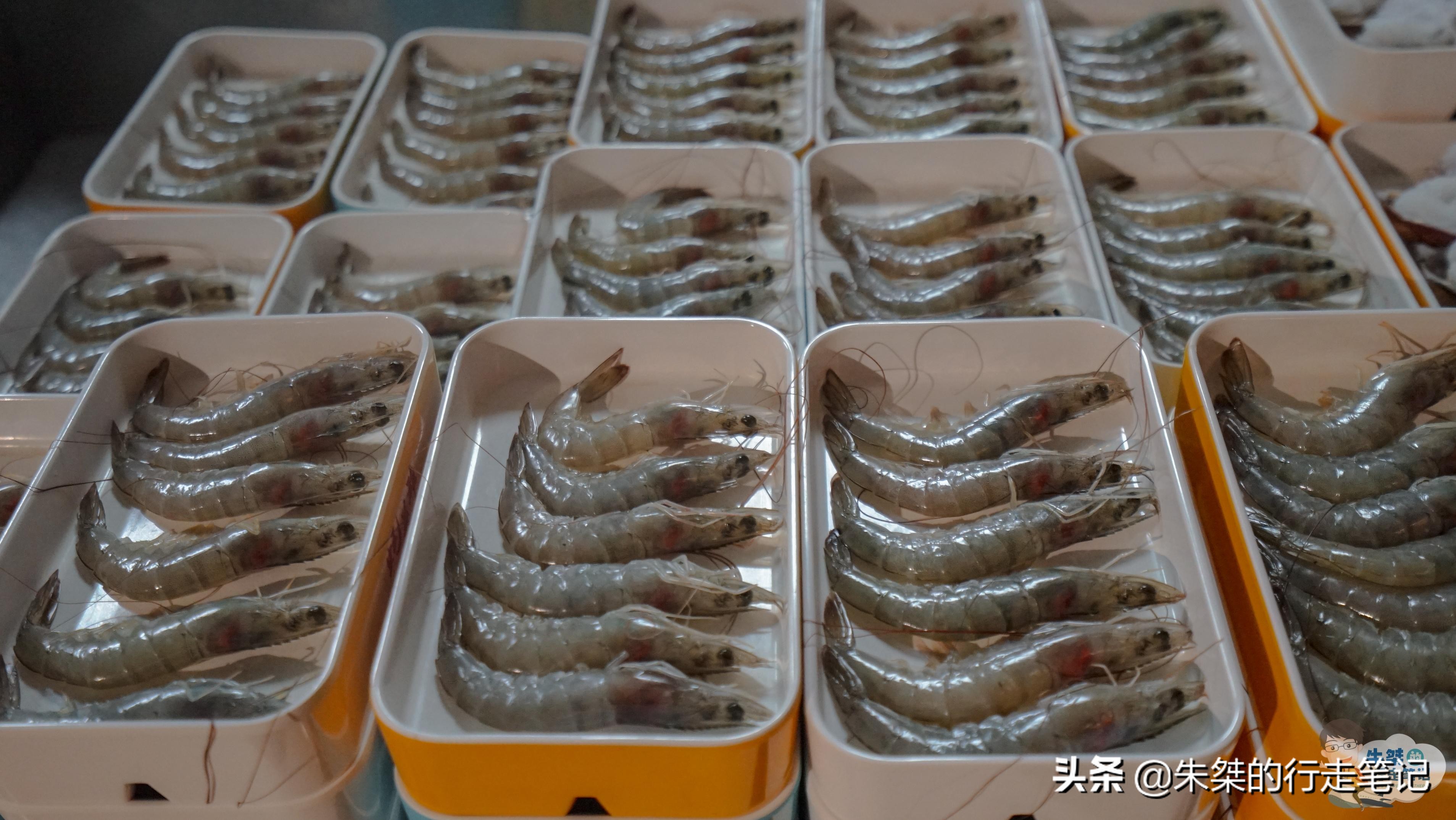 四川生蚝海鲜自助烧烤店,成都性价比最高的海鲜烧烤