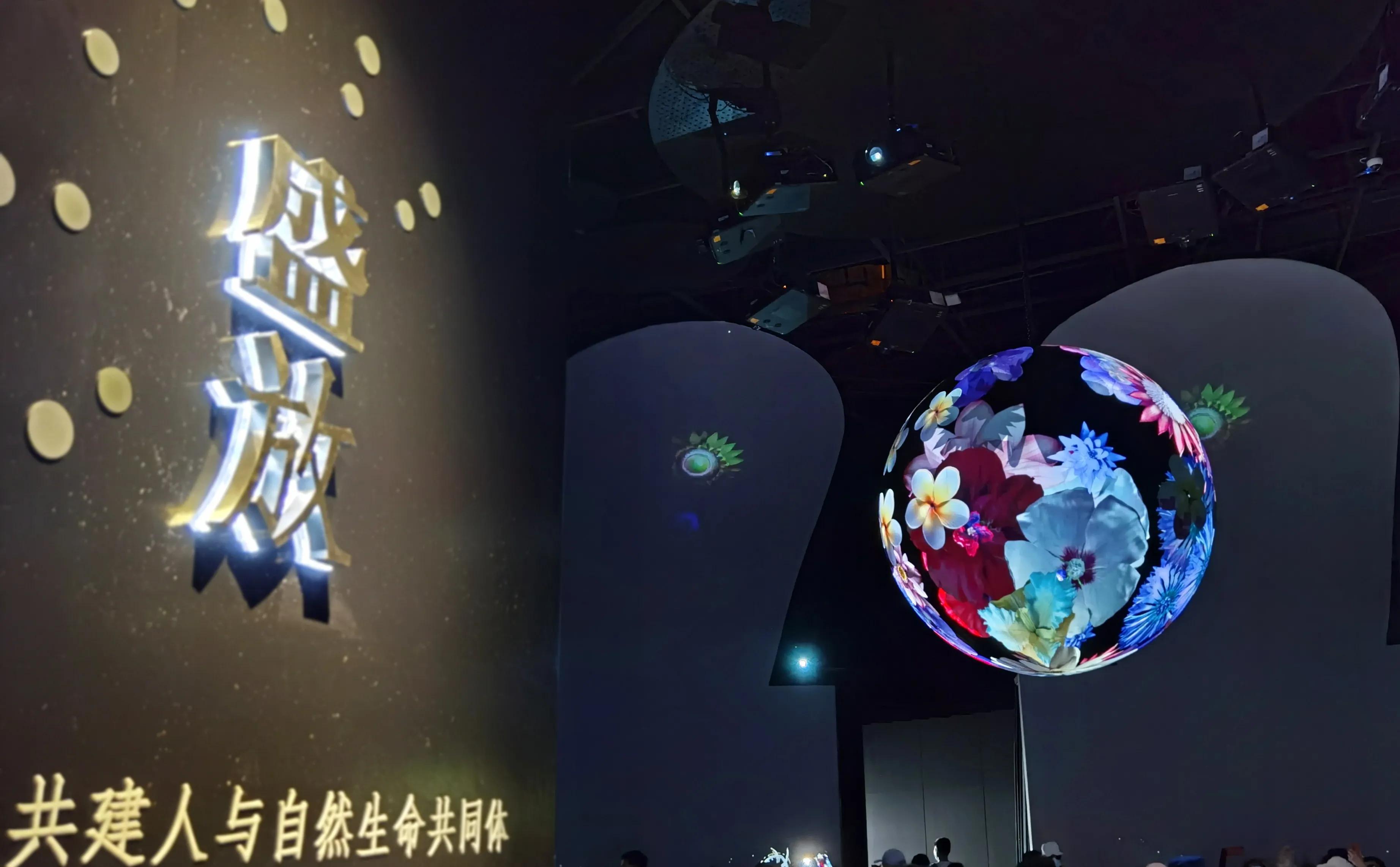 关于崇明花博会,崇明花博会全程花景