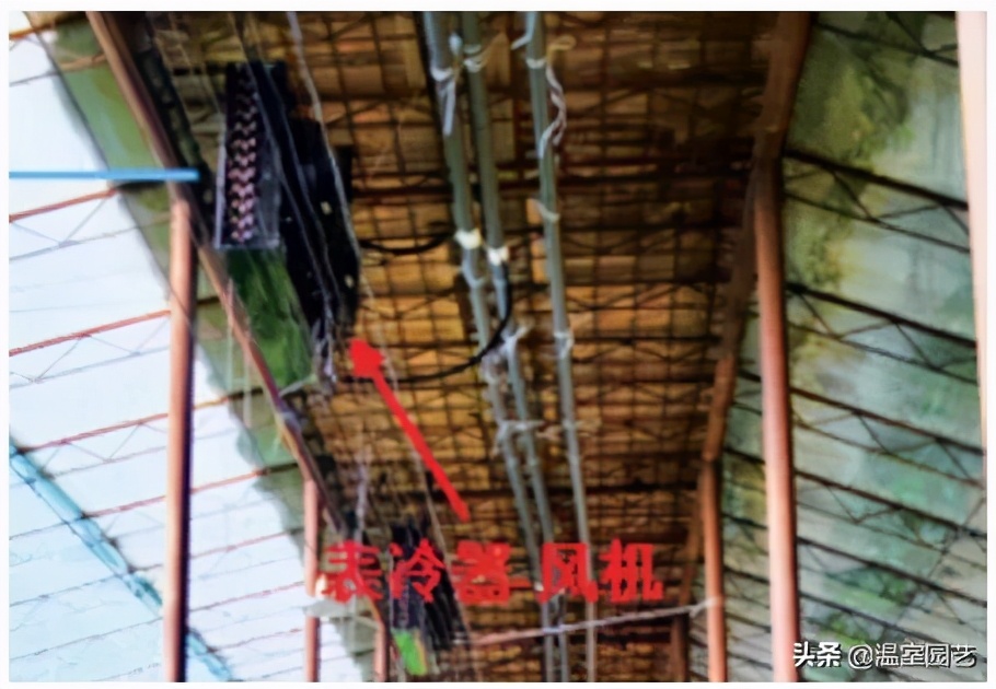 表冷器风机,风机表冷器工作原理