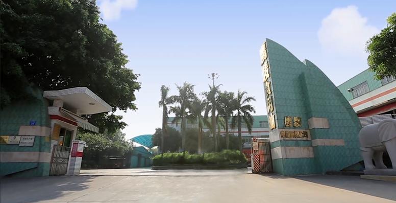 鹰唛大豆食用油,鹰唛食用油合格吗