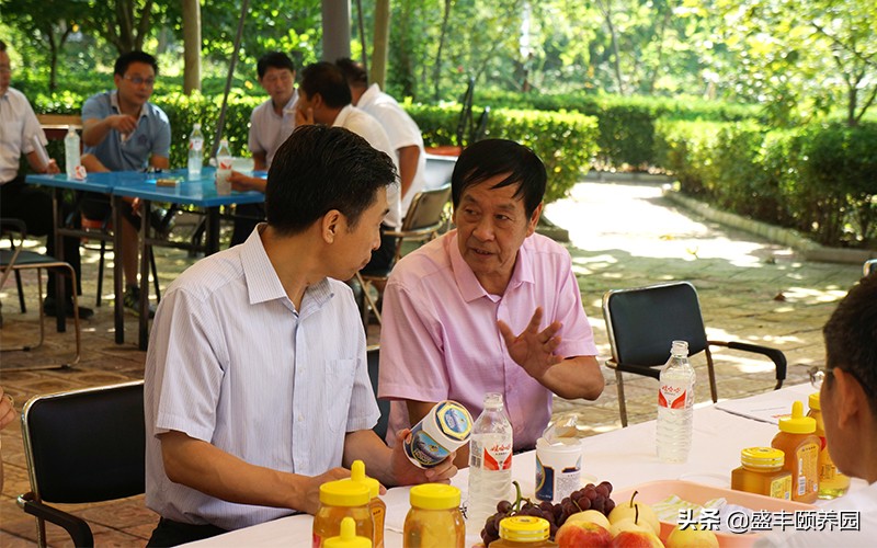 自熬枇杷蜜,好喝的枇杷蜜