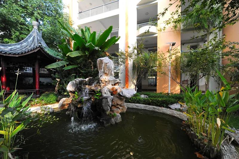 秋天你好吗,秋天你好