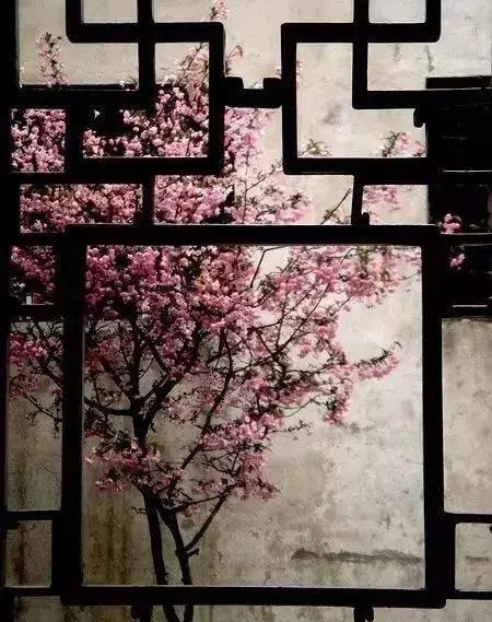 中国超大复古窗,33框门窗