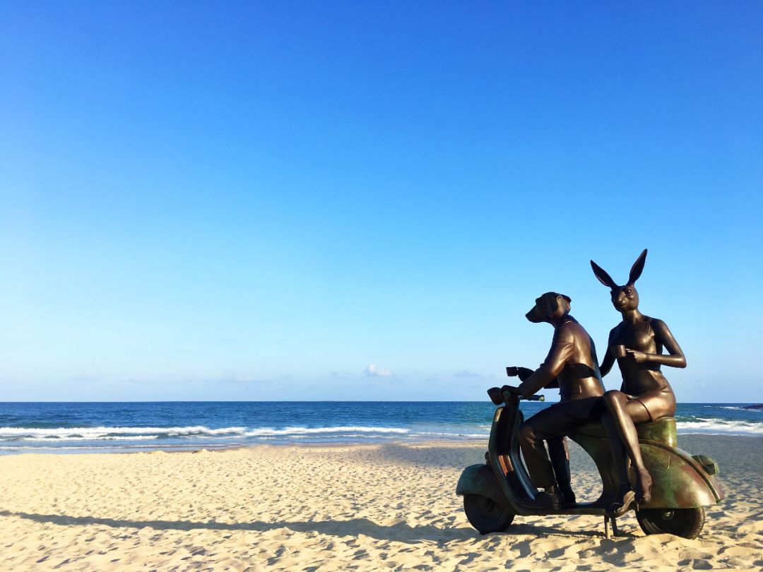 十年一梦清水湾，“第二人生”出发地