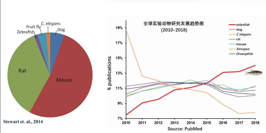子曰唯小人和女人难养也译文,子曰唯小人与女子难养也什么意思