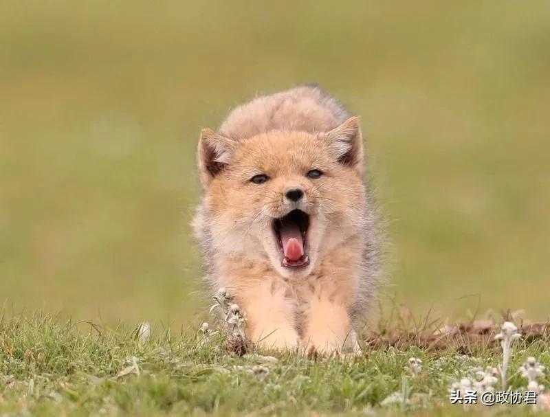 这位老*党**员镜头下的青海，美出天际