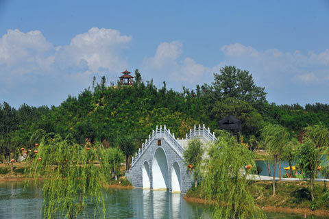 我的家乡周口沈丘作文,我的家乡沈丘论文