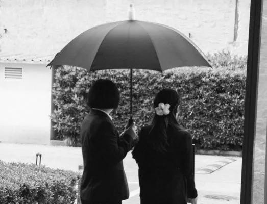 鍠滄彁鍒嗘墜鍥炲綊鍗曡韩,鍠滄彁鍒嗘墜