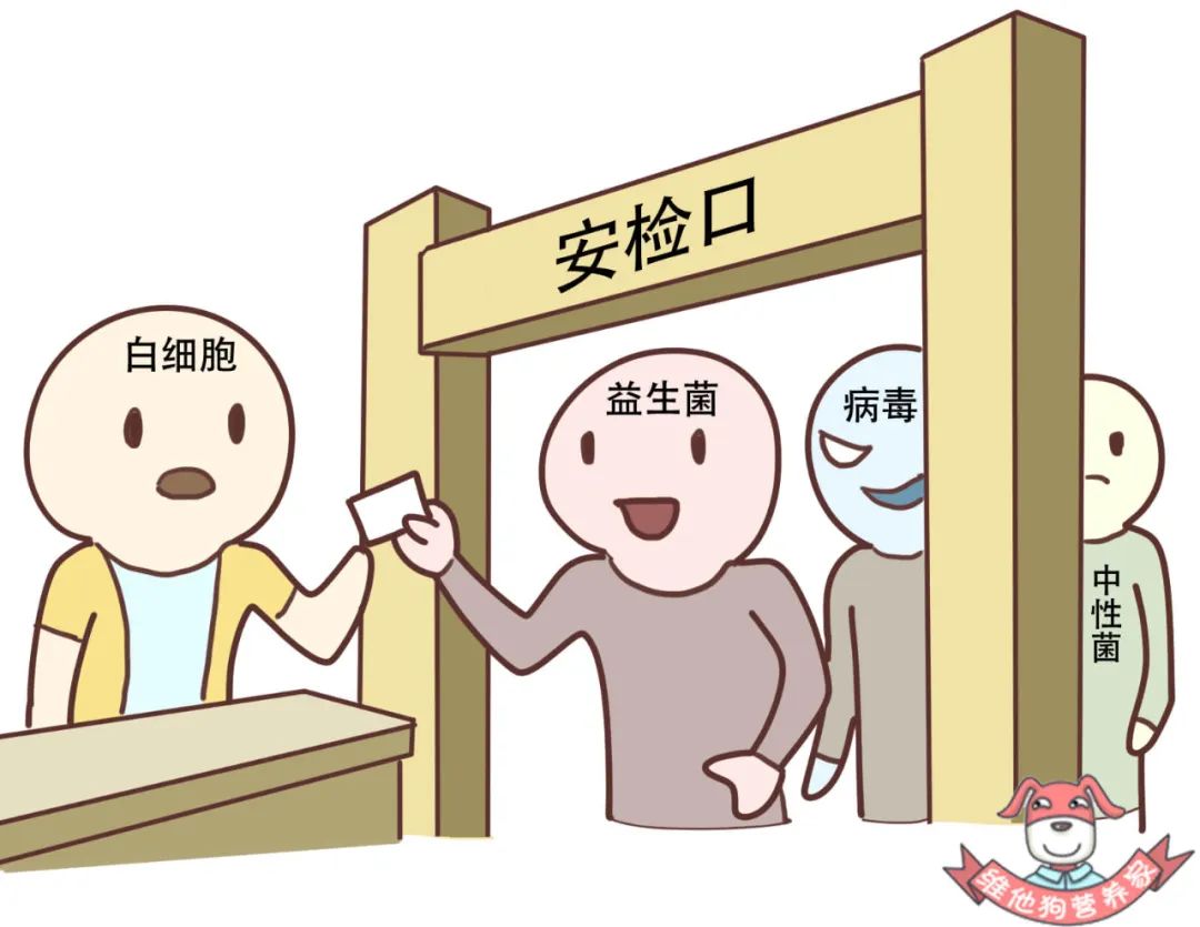 身体炎症多吃三种食物,身体老是有炎症应该怎么吃才好