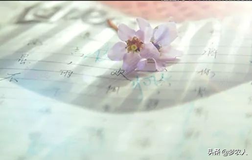 你怎么放进去,我就怎么拿出来