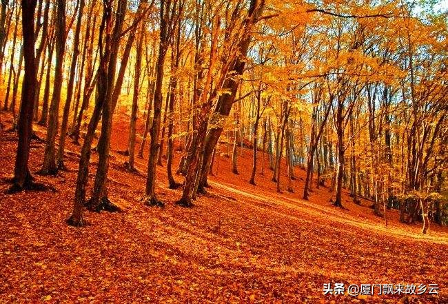 繁丽已远逝,知音系情痴。红楼多别梦,长歌君当知