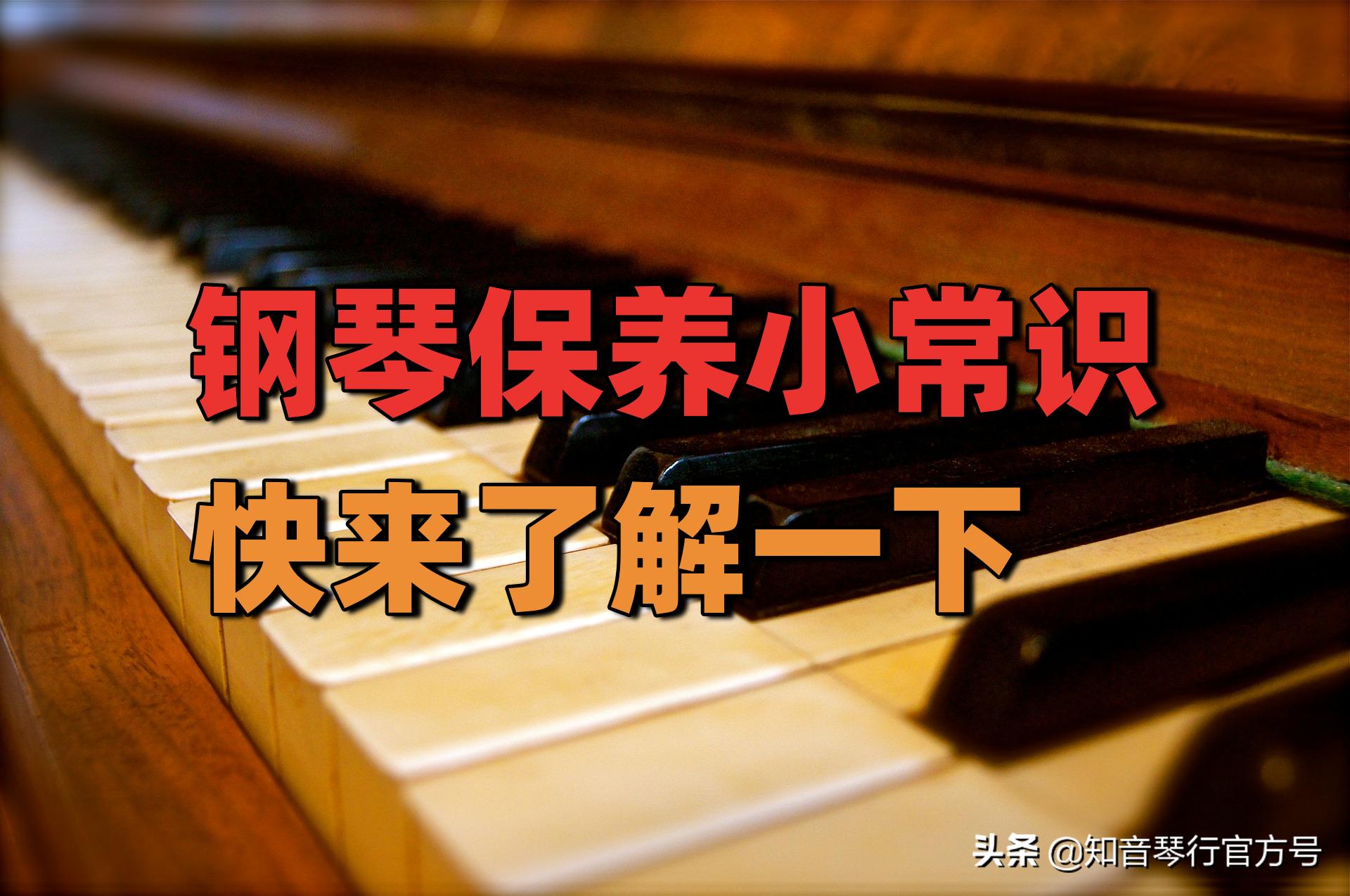 钢琴中的问题,钢琴的十大误区