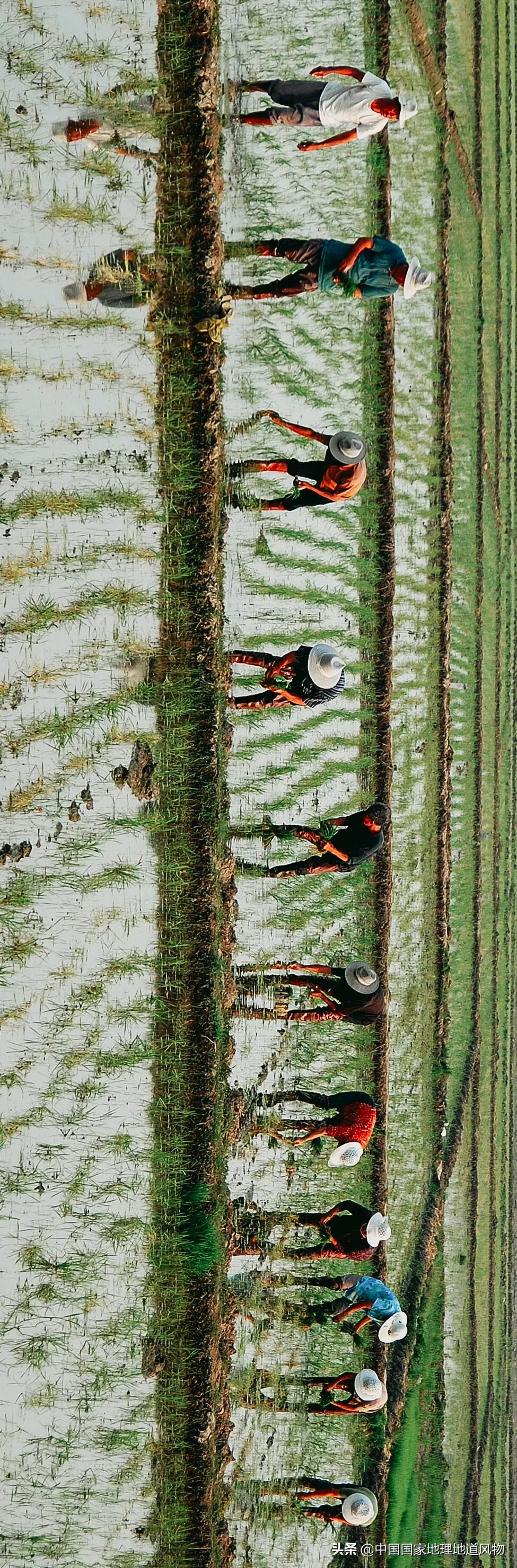 世界二线城市中国有哪些城市,济南是一线还是二线城市