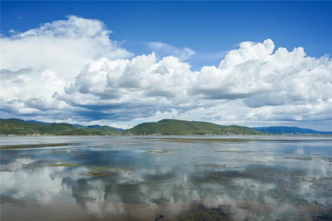 马牌轮胎究竟怎样,马牌轮胎有多强