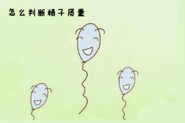 从精子质量可以看出肾的好坏吗,高质量男性精子状态