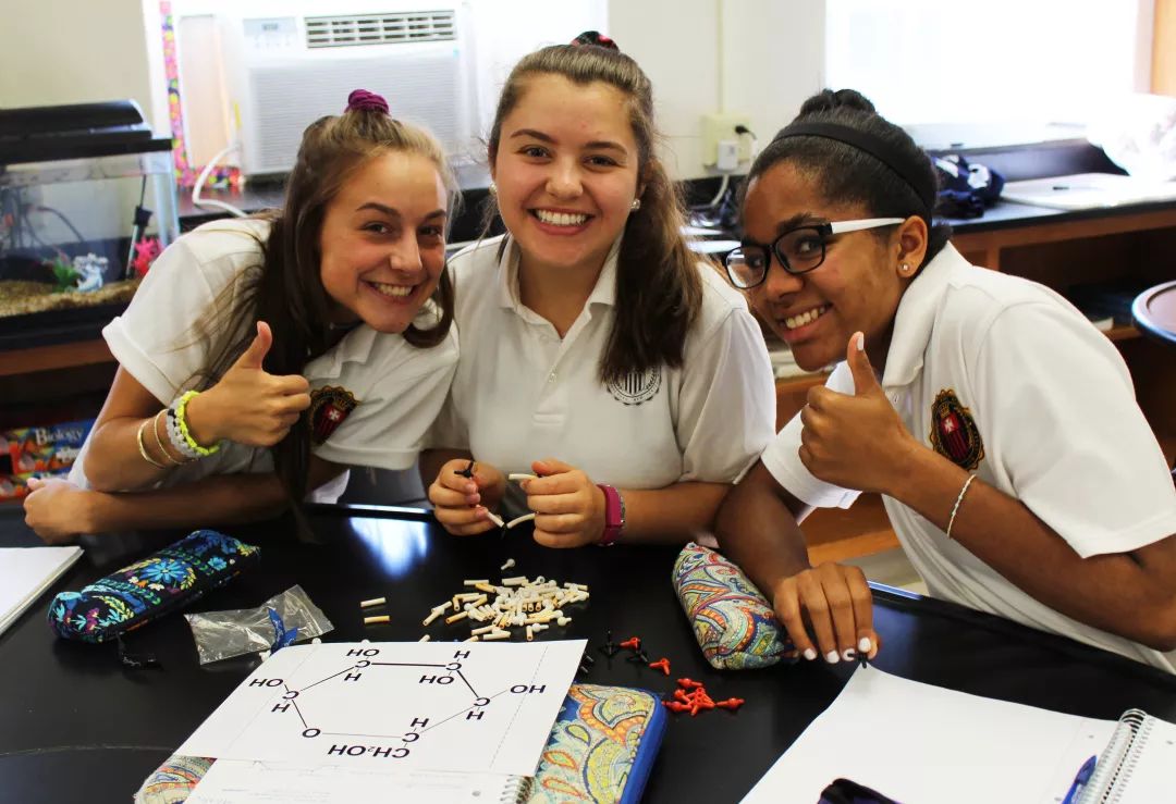 这些学校“都挺好”,新绿洲硅谷优质学校,录取迅速,住家优质!