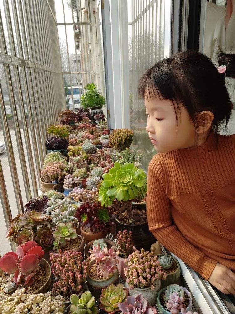 每一棵多肉都承载了一段时光,每一棵多肉都是独一无二